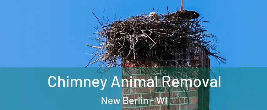 Chimney Animal Removal New Berlin - WI