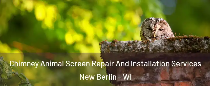  Chimney Animal Screen Repair And Installation Services New Berlin - WI