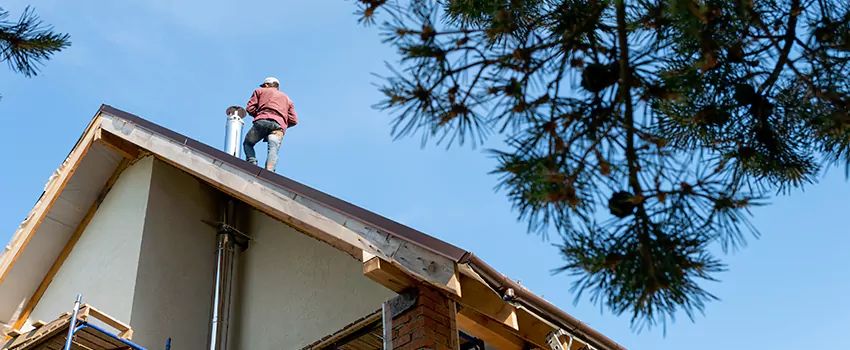 Birds Removal Contractors from Chimney in New Berlin, WI